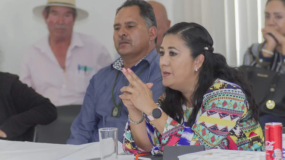 Beatriz Robles Gutiérrez, diputada federal por Movimiento de Regeneración Nacional (Morena).  Foto César Ortiz.